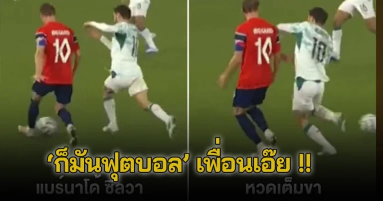 แบร์นาโด้ ซิลวา